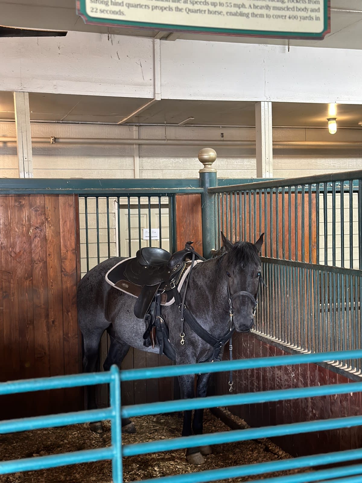 Dolly Parton's Stampede Dinner Show