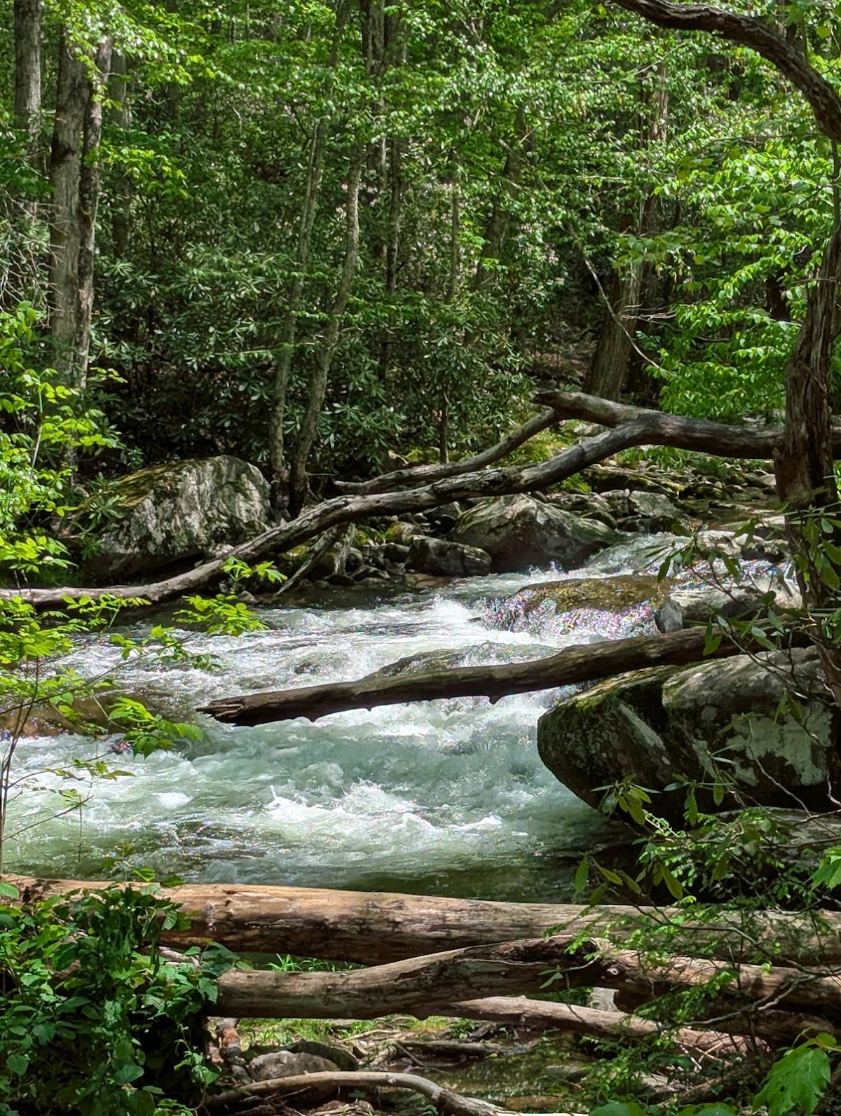 Elkmont Nature Trail