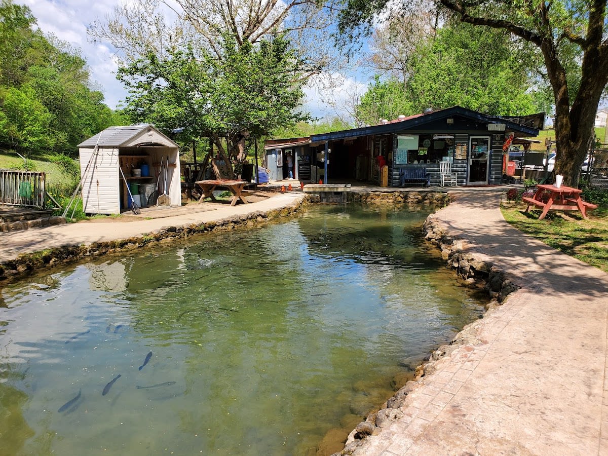 English Mountain Trout Farm