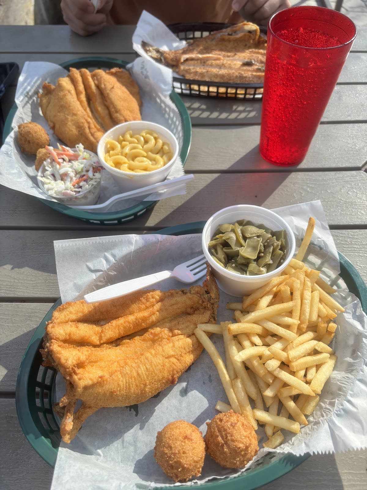 English Mountain Trout Farm
