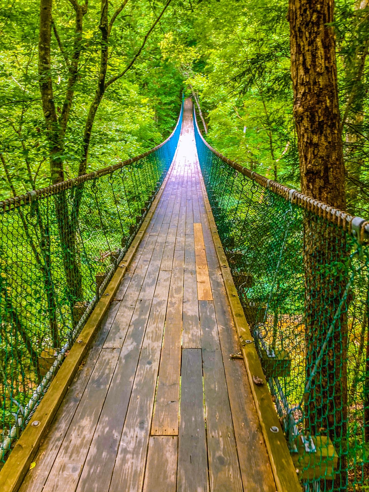 Foxfire Adventure Park