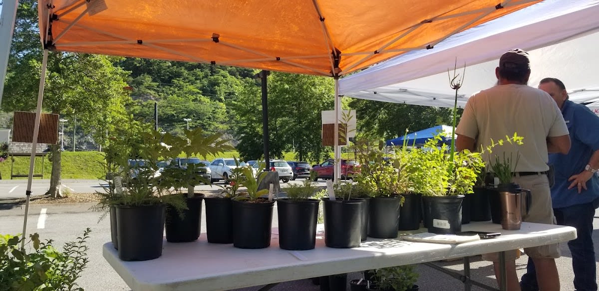 Gatlinburg Farmers Market
