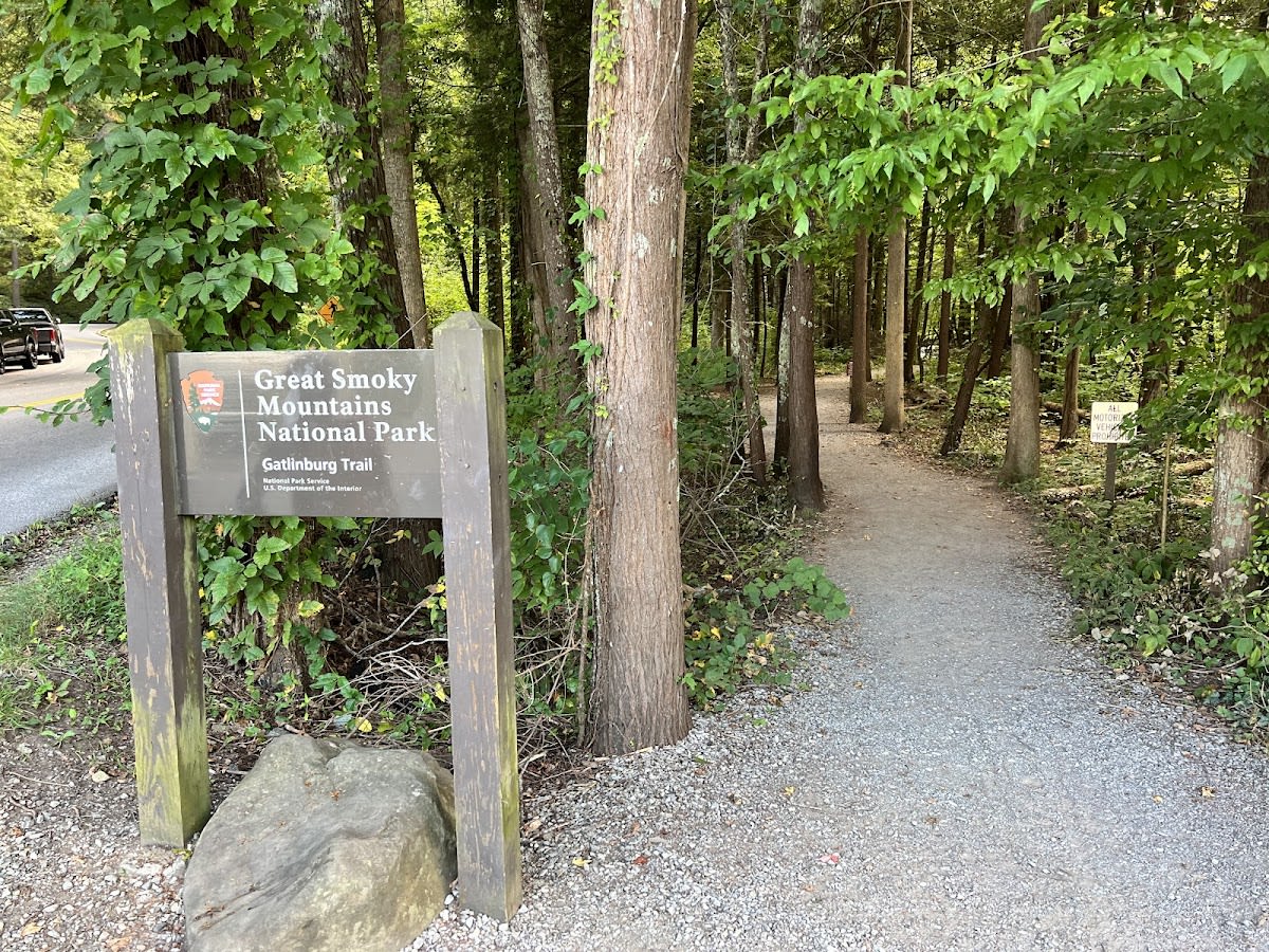 Gatlinburg Trail - ONLY Dog-Friendly Trail