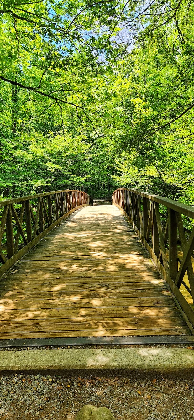 Gatlinburg Trail - ONLY Dog-Friendly Trail