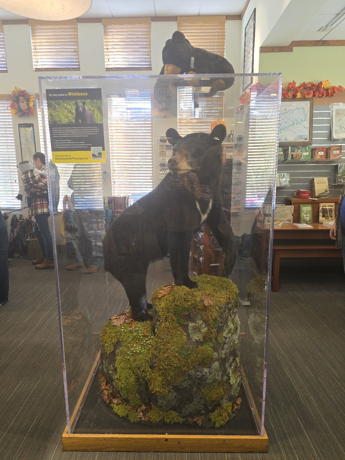 Gatlinburg Welcome Center