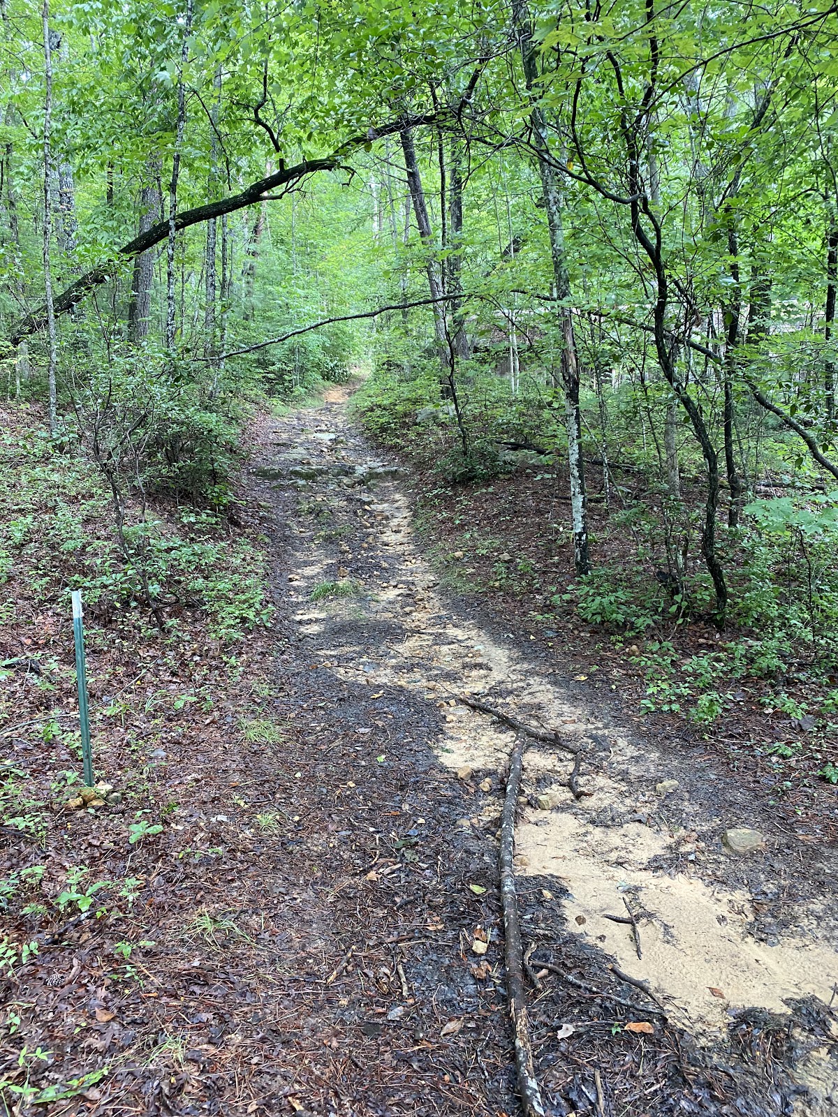 Gold Mine Trail