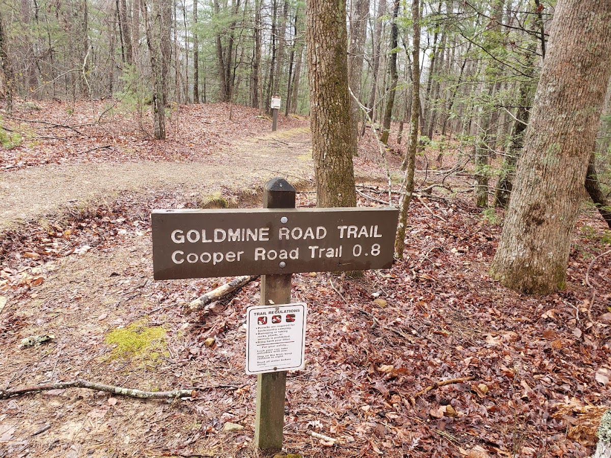 Gold Mine Trail