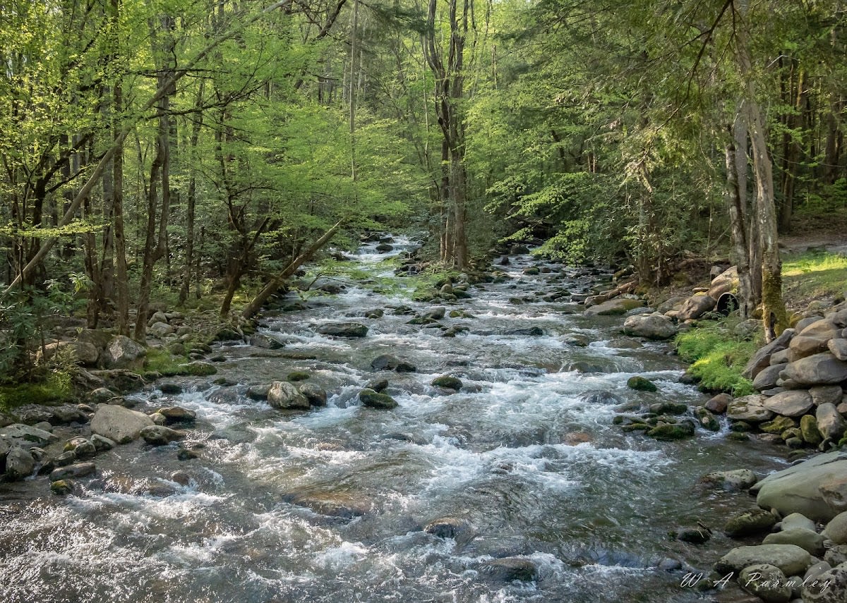 Grapeyard Ridge Trail