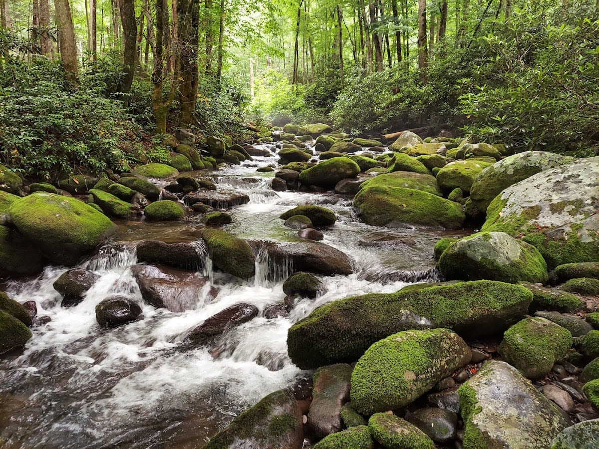 Great Smoky Mountains National Park