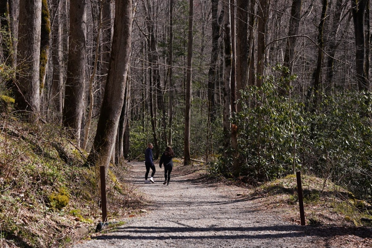 Greenbrier Ridge Trail