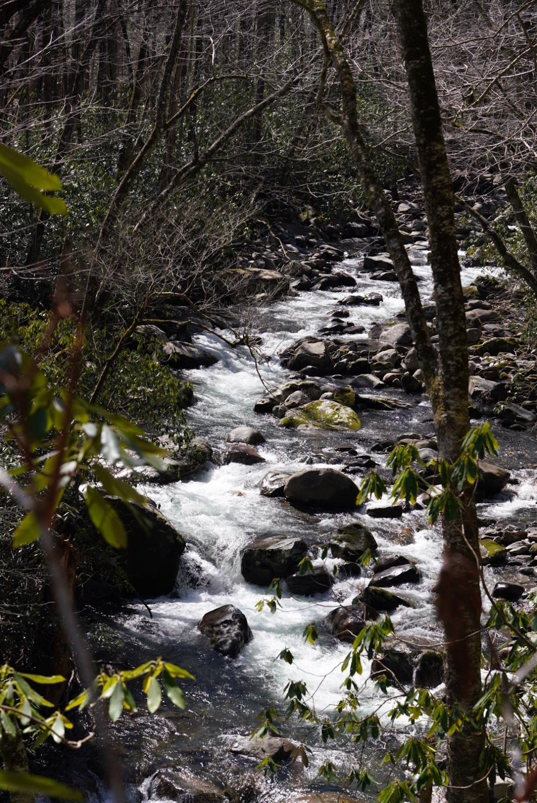 Greenbrier Ridge Trail