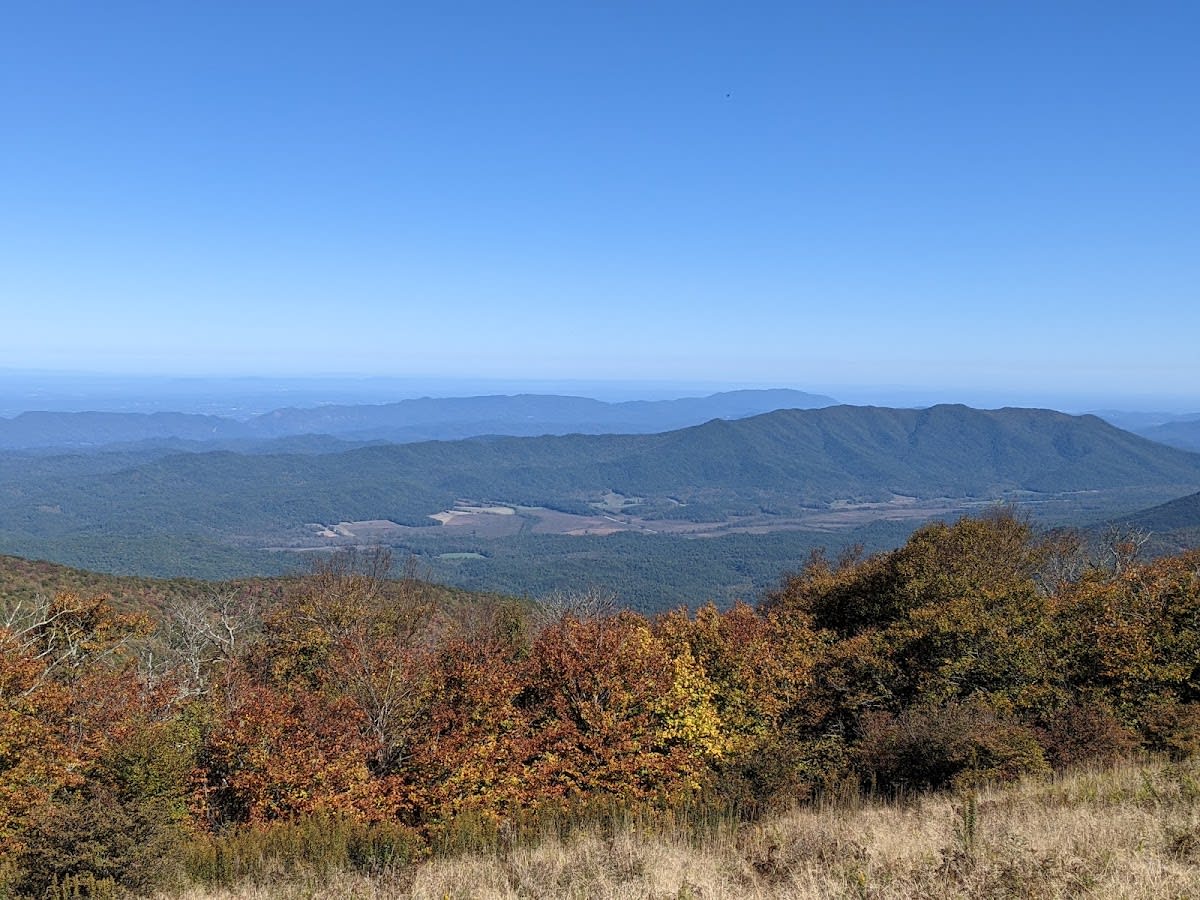 Gregory Bald Trail