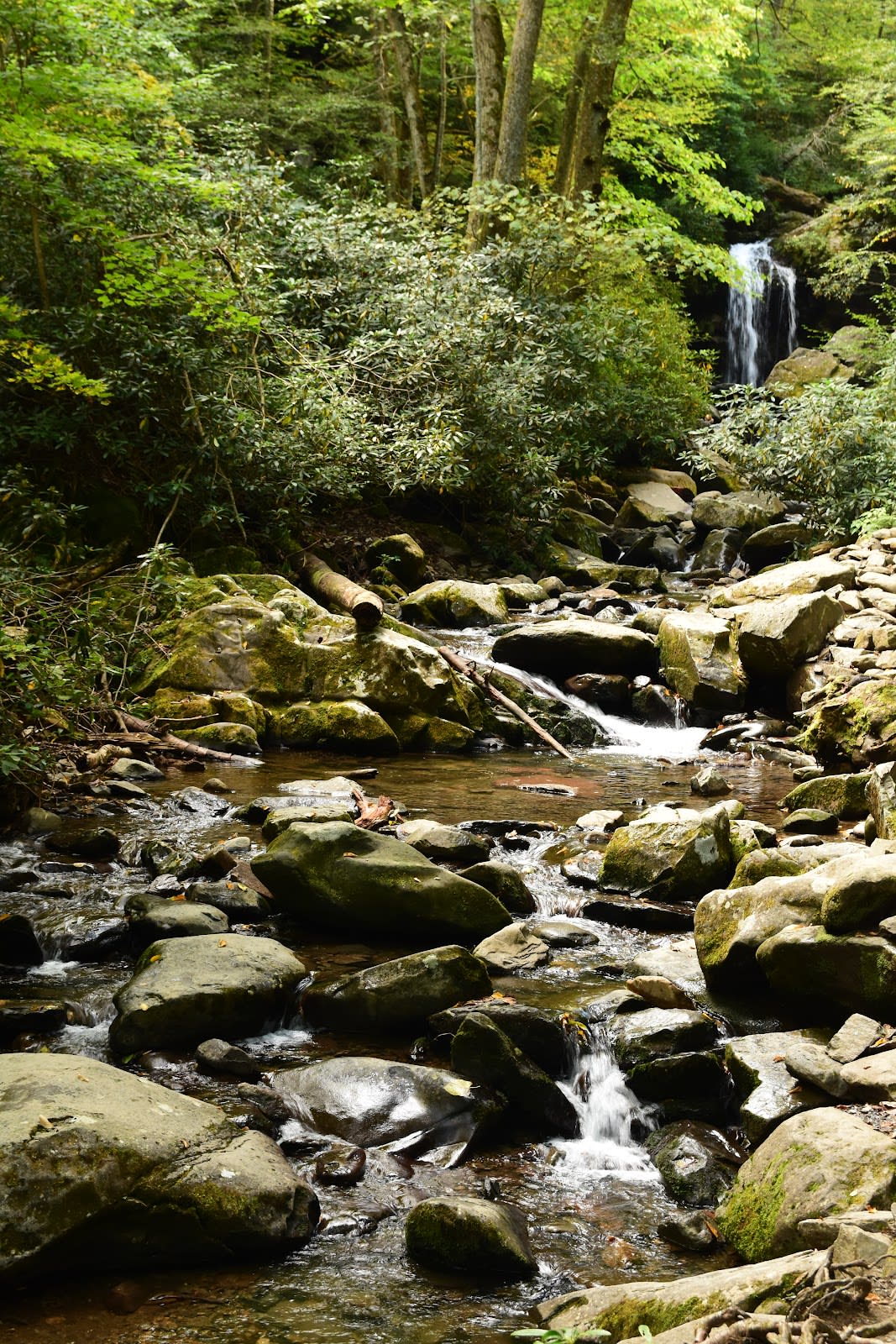 Grotto Falls - Walk BEHIND the Waterfall!