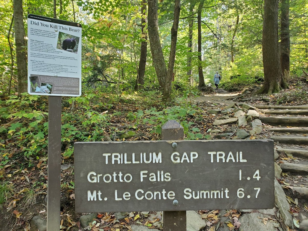 Grotto Falls - Walk BEHIND the Waterfall!