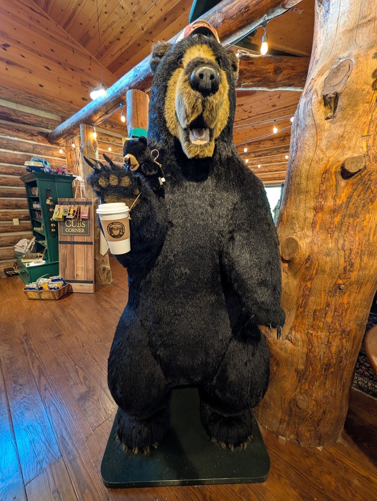 Harper Bros. Mountain General Store