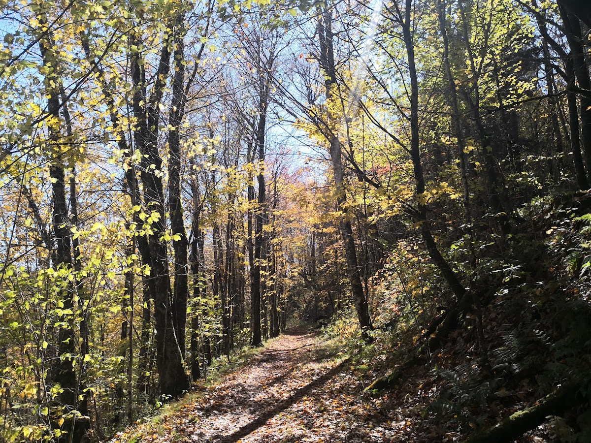 Hemphill Bald Trail