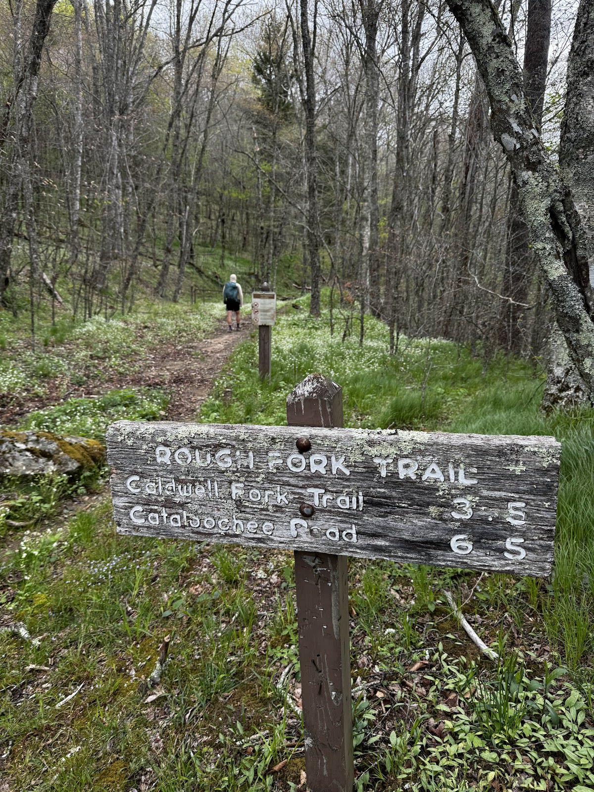 Hemphill Bald Trail