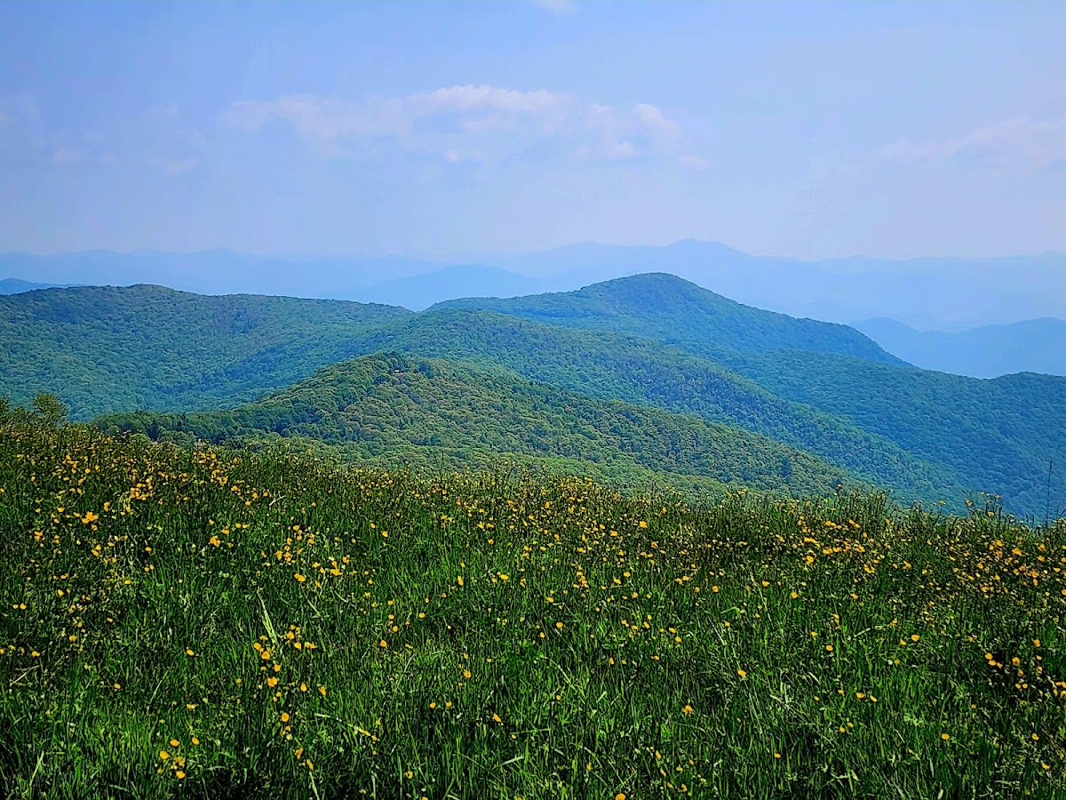 Hemphill Bald Trail