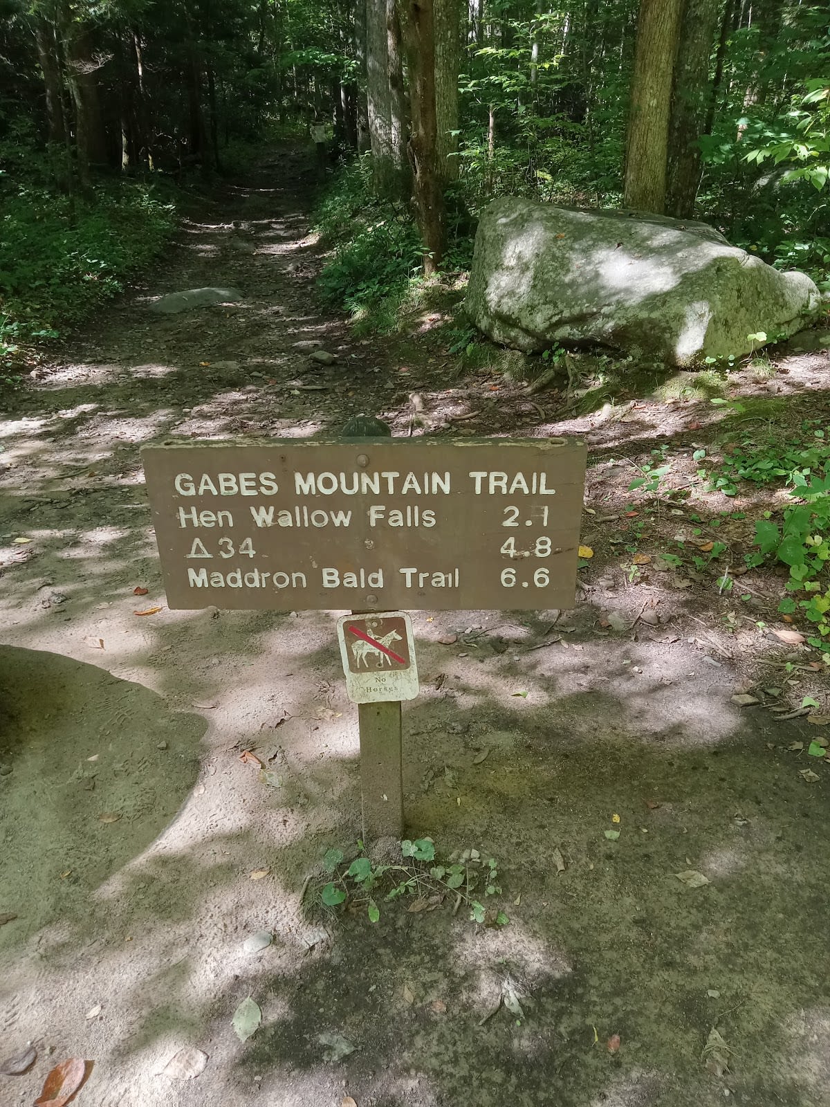 Hen Wallow Falls - 90 Feet!