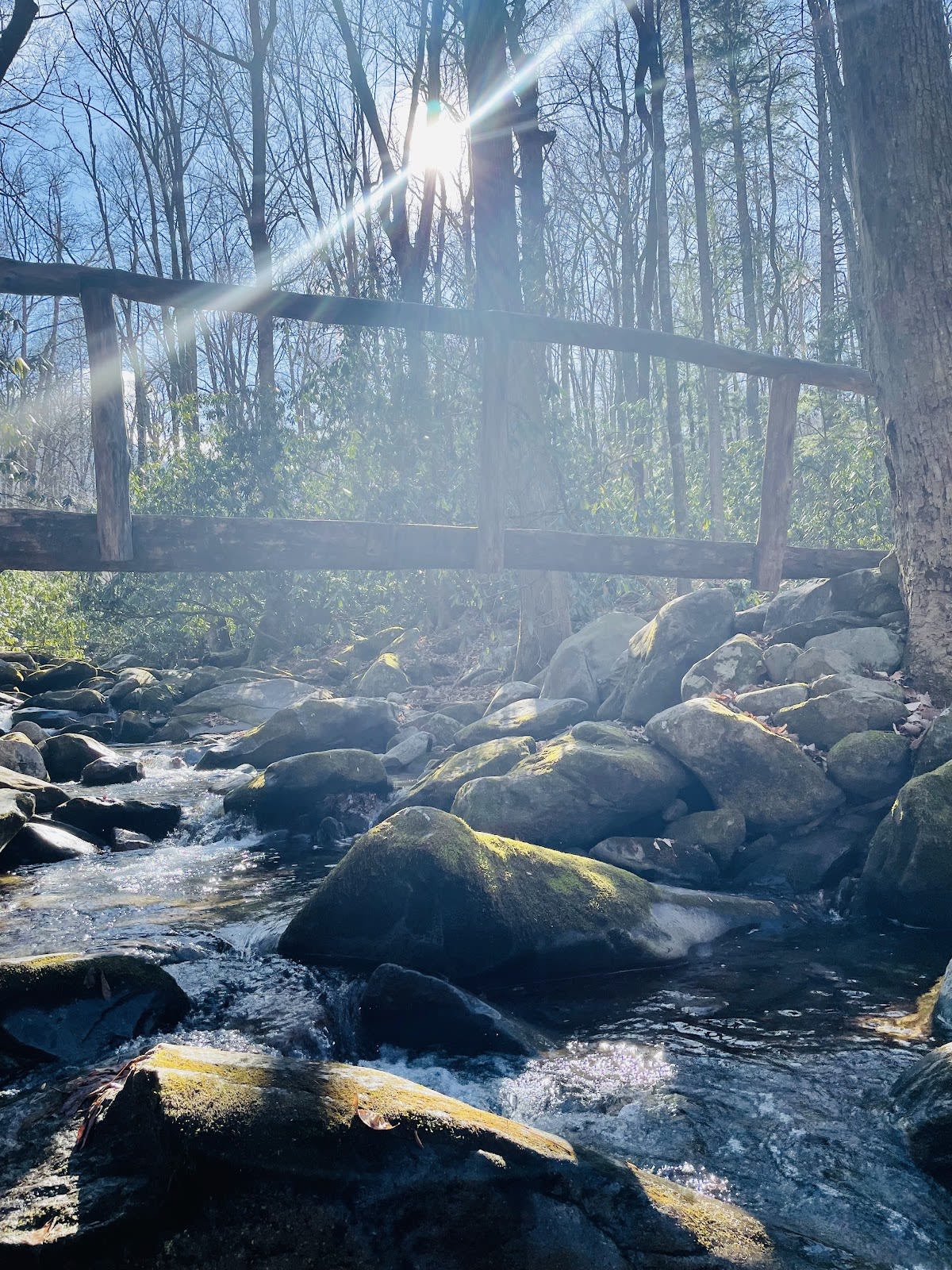 Hen Wallow Falls Trail
