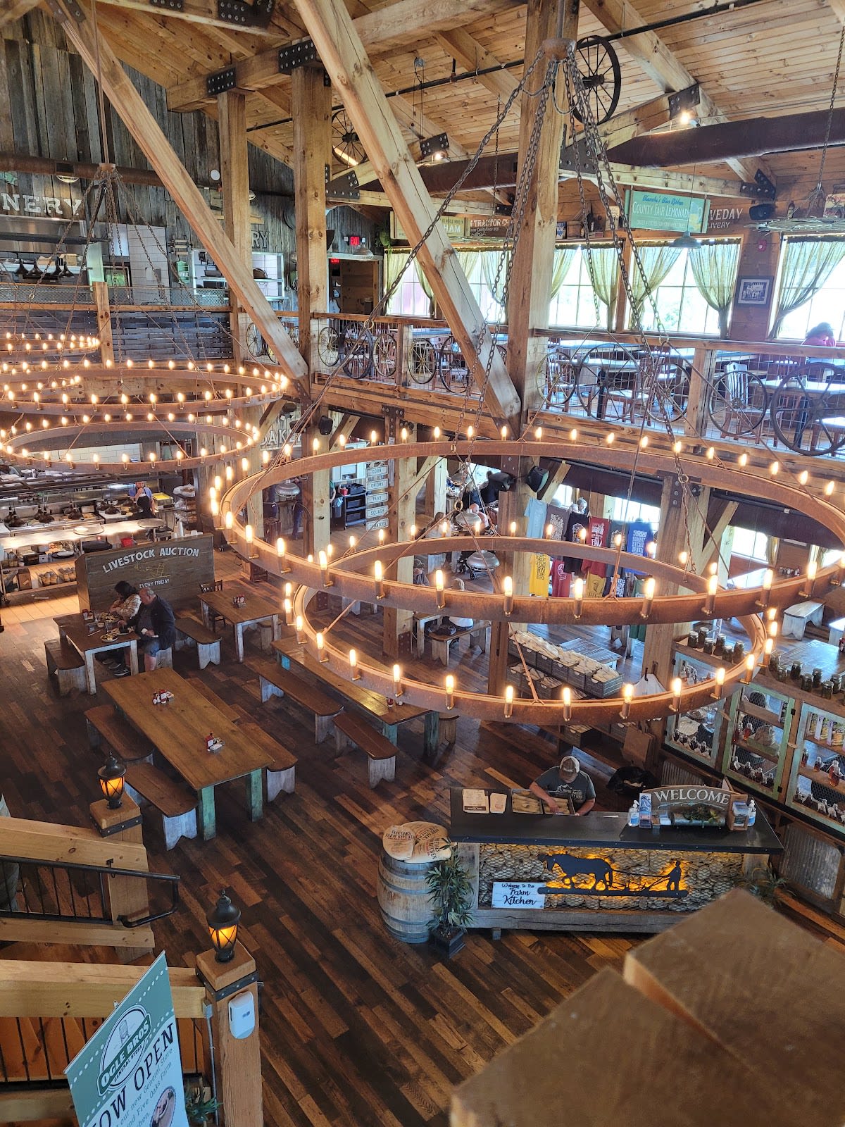 Horseback Trail Ride