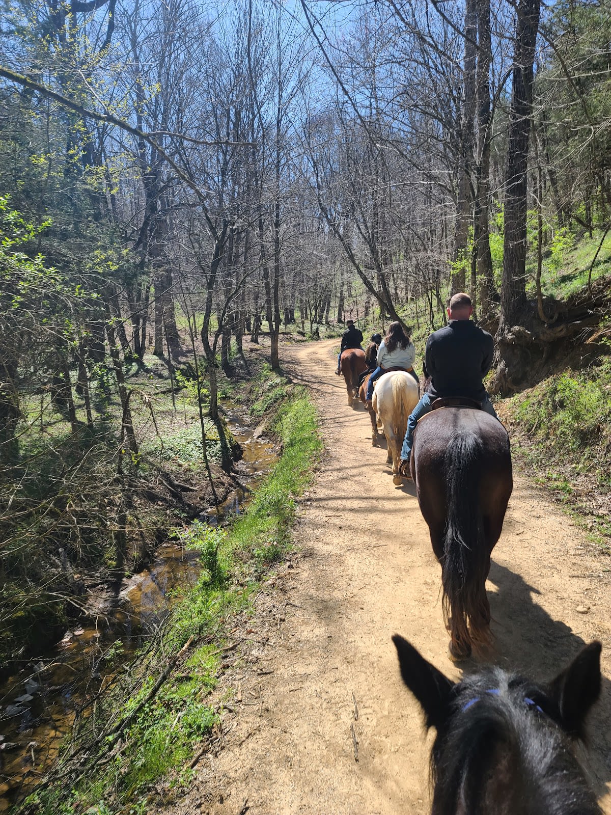 Horseback Trail Ride