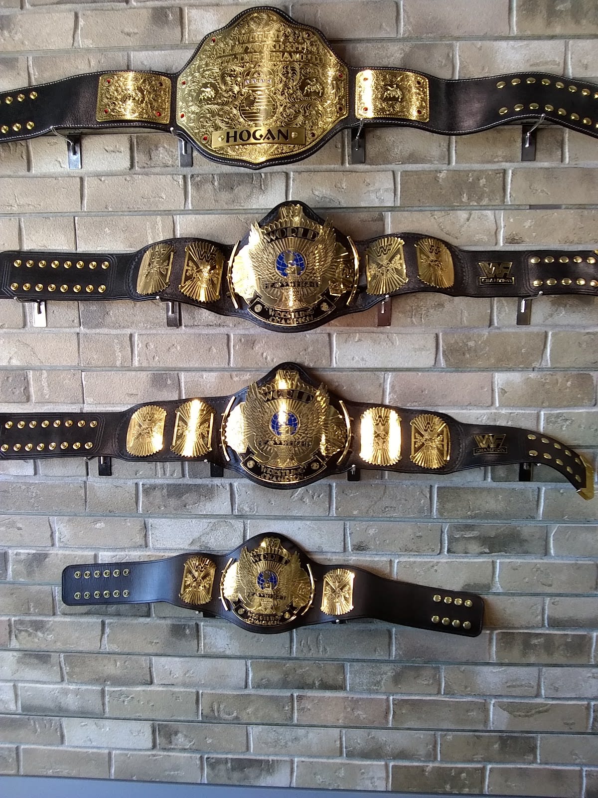 Hulk Hogan's Wrestling Shop