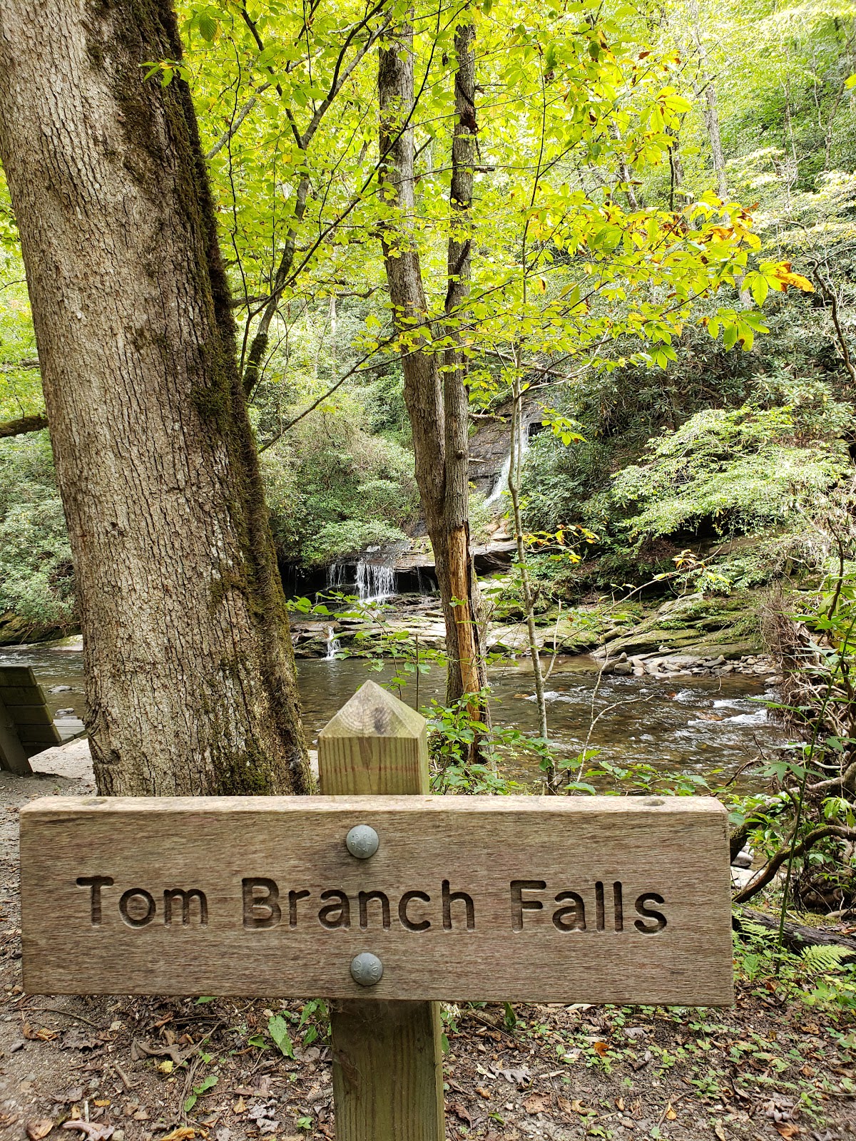 Indian Creek Falls Trail