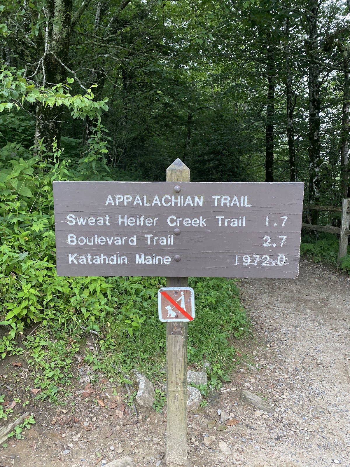 Indian Gap - Appalachian Trail Access