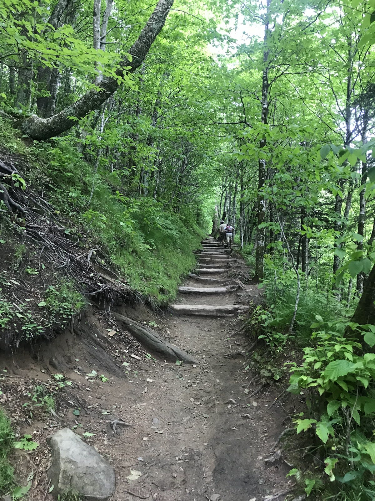 Indian Gap - Appalachian Trail Access