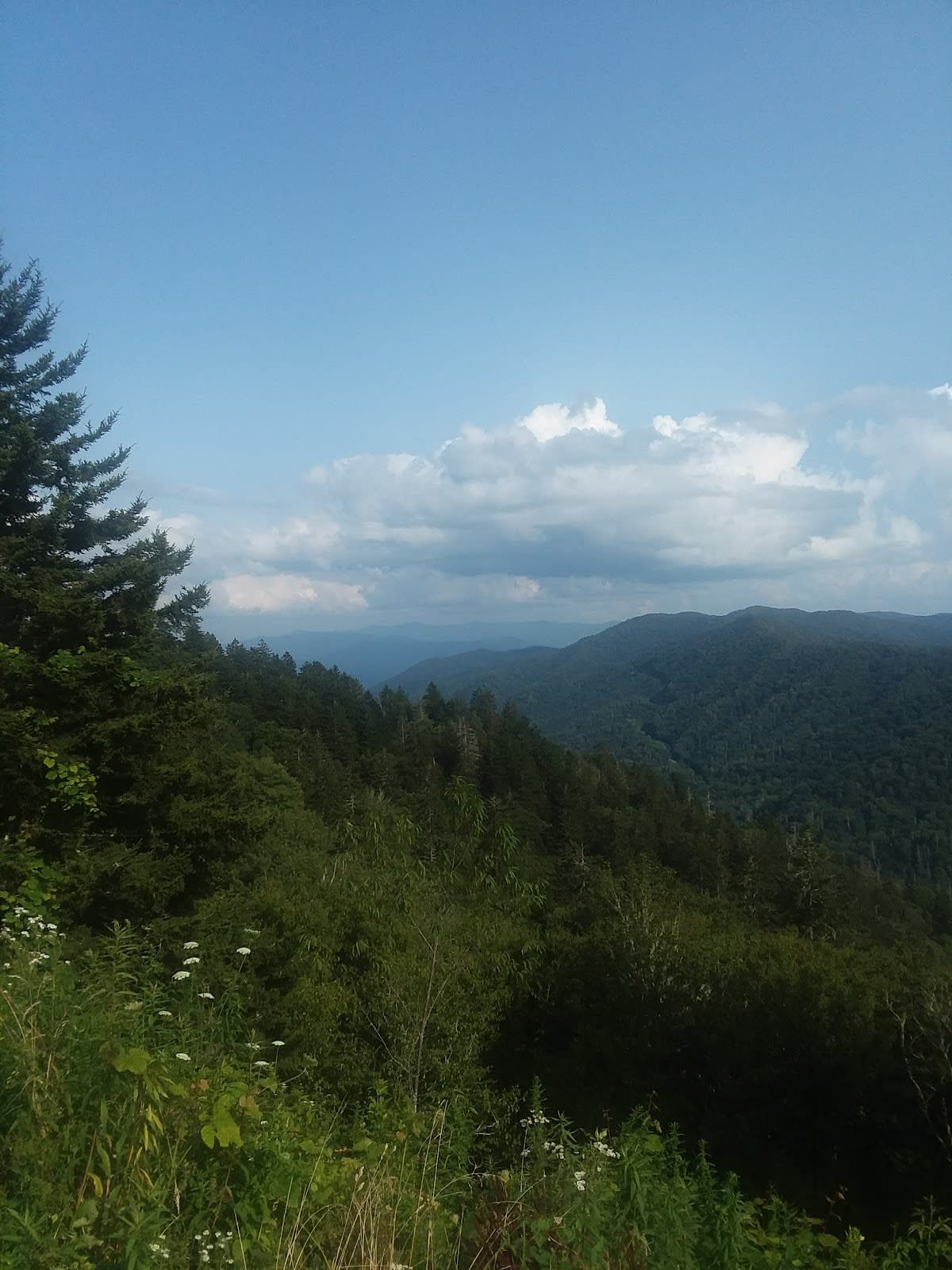 Indian Gap - Appalachian Trail Access