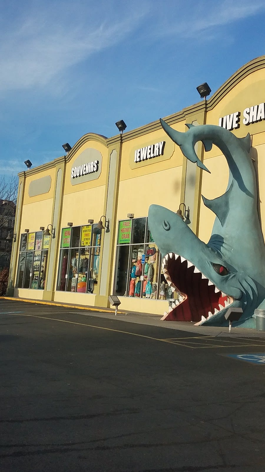 JAWS Souvenir Store