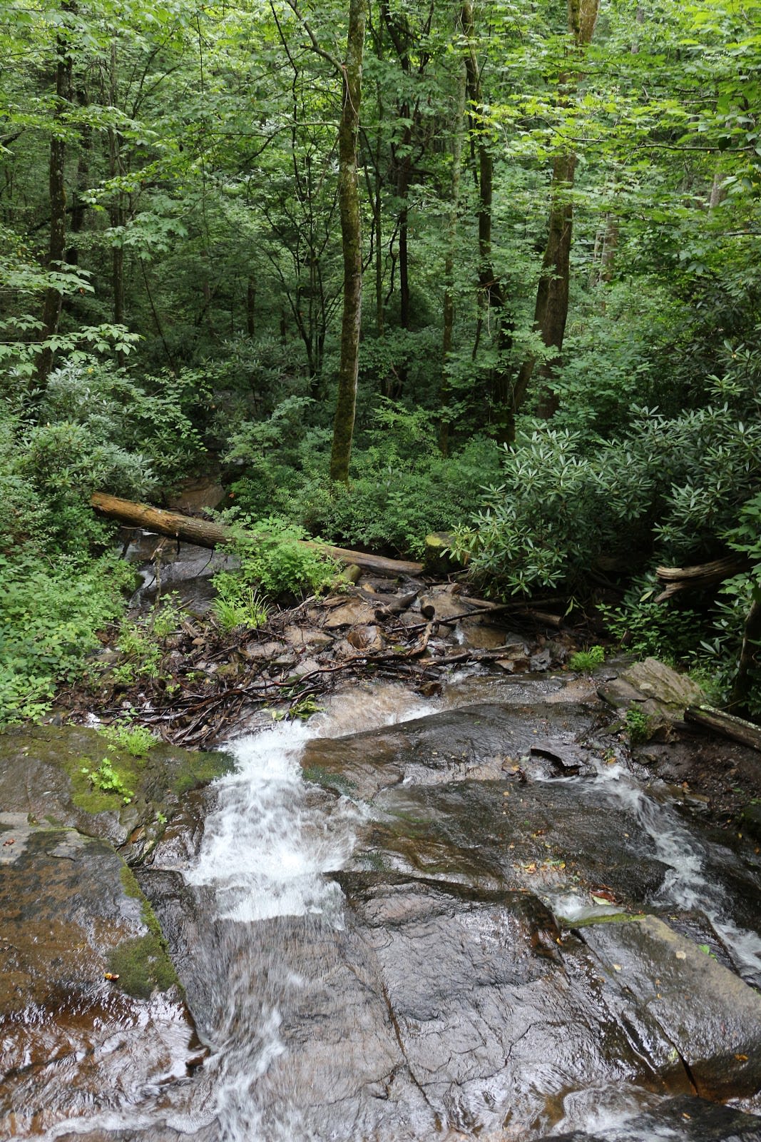 Juney Whank Falls Trail