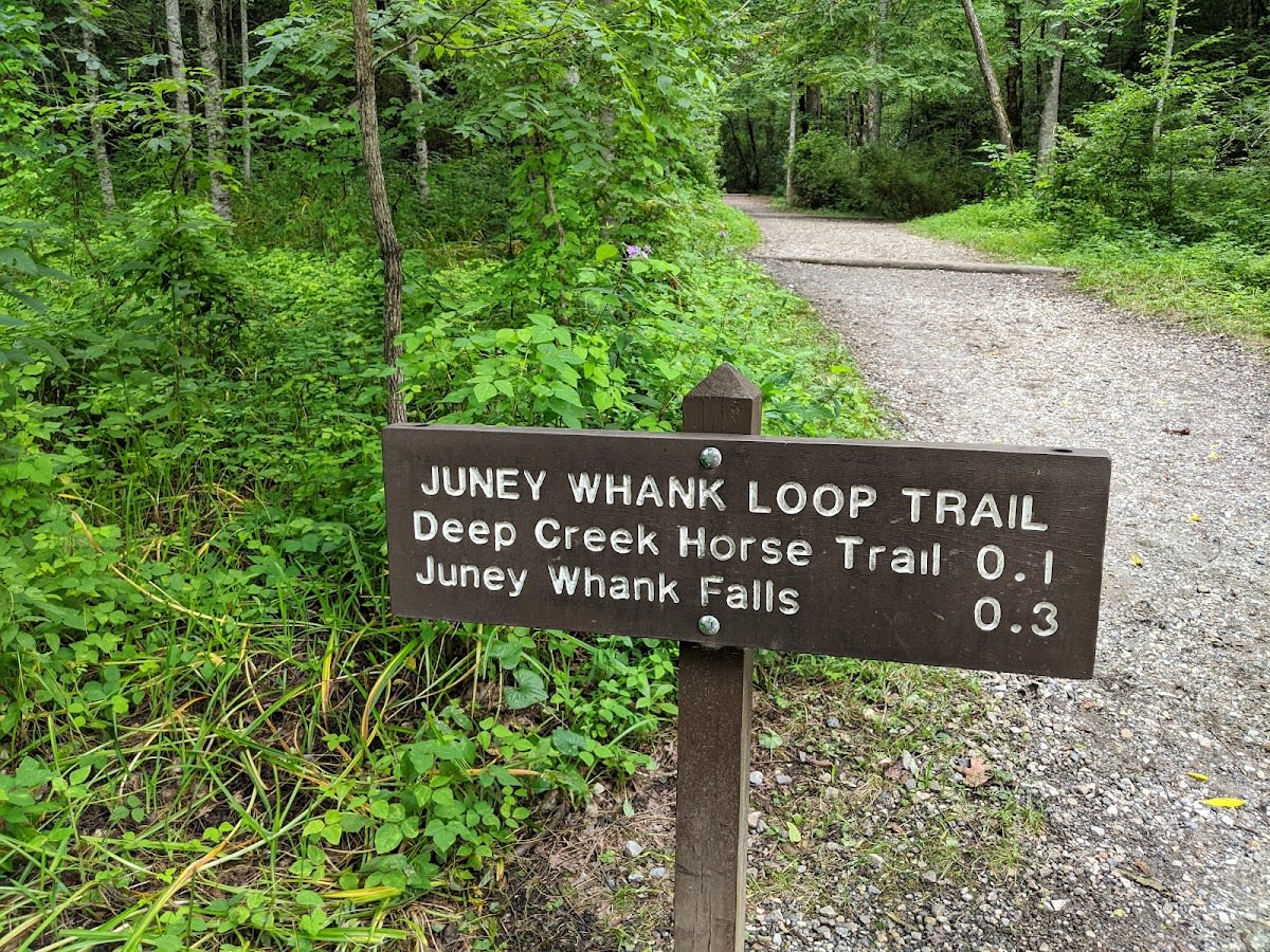 Juney Whank Falls Trail