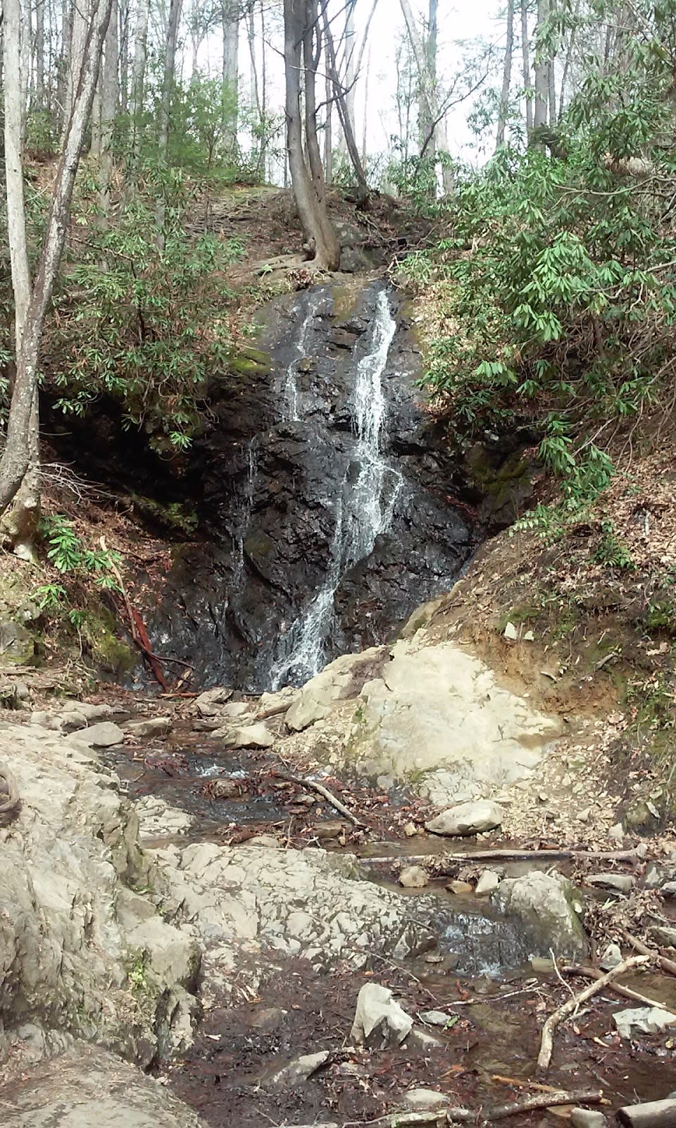 Junior Ranger Program - GSMNP