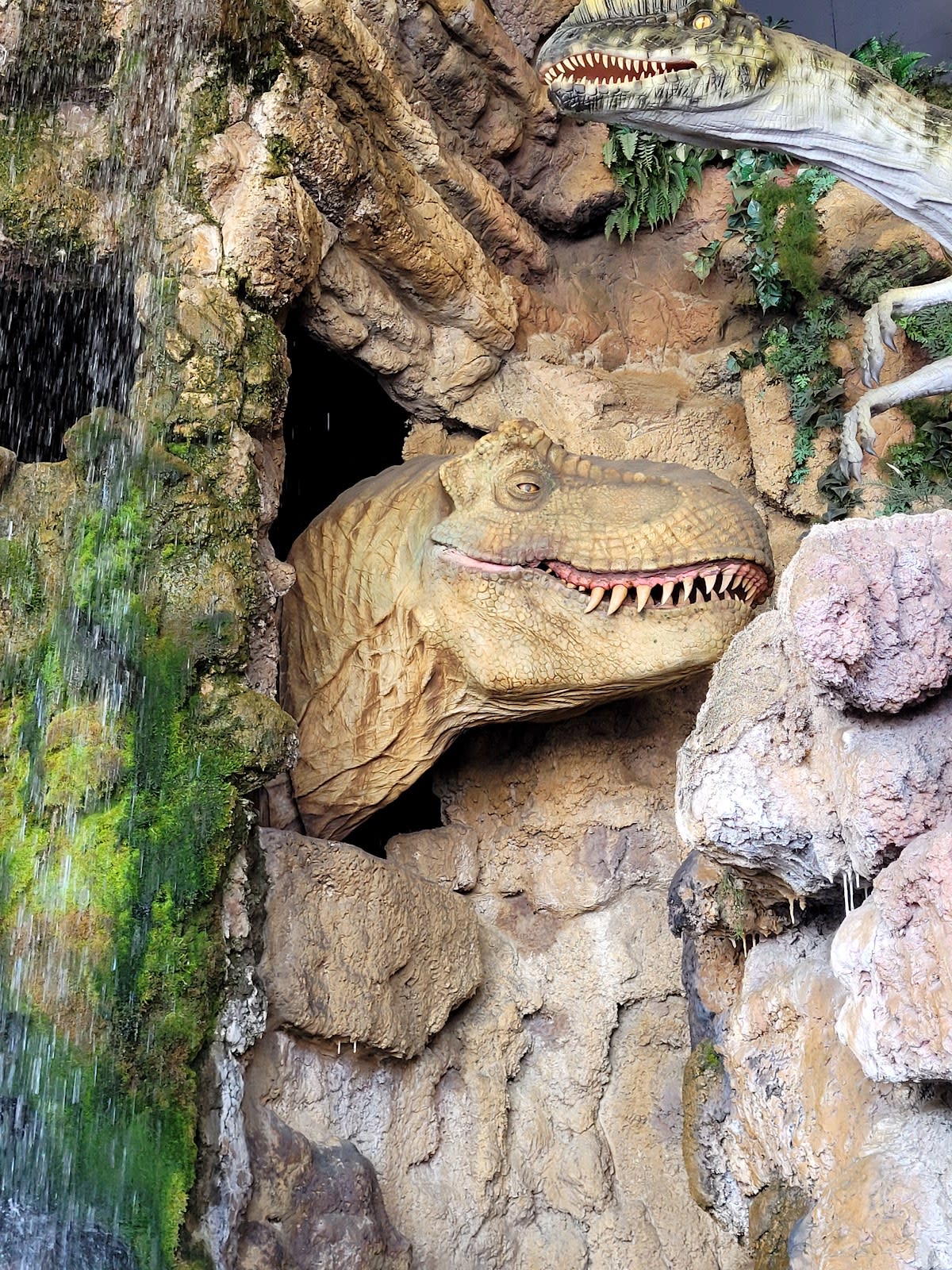 Jurassic Jungle Boat Ride