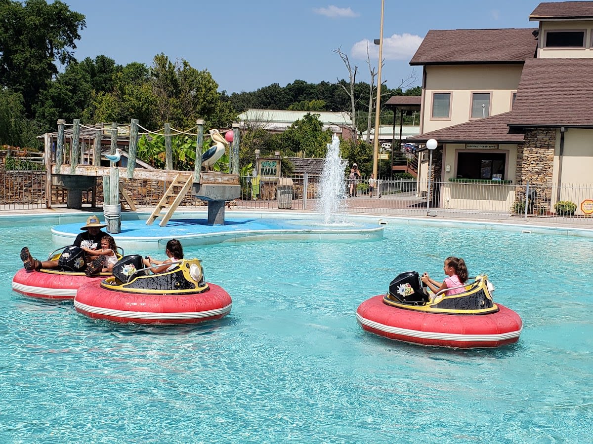 Kids Country Rides at The Track