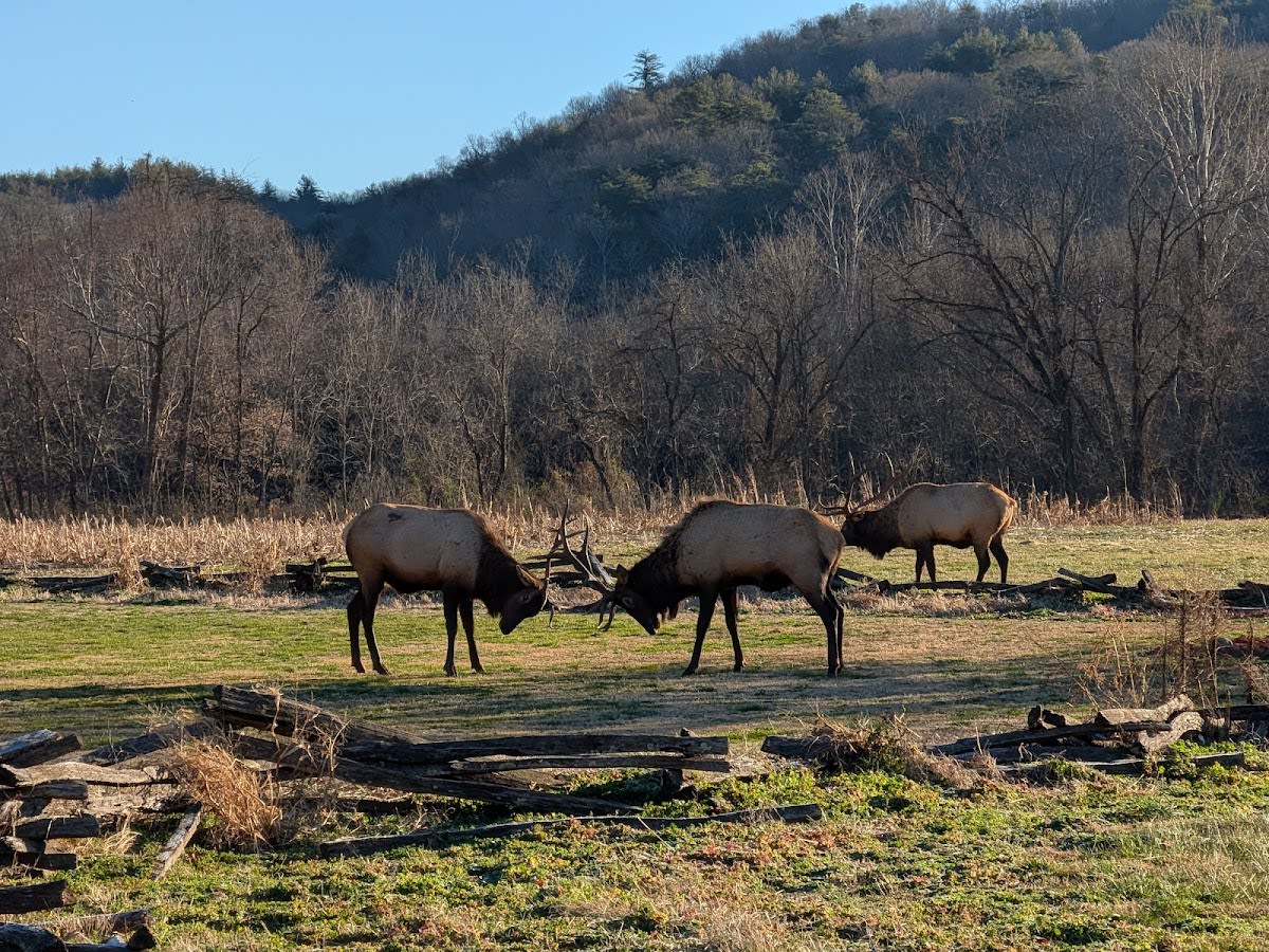 Kituwah Mound - Cherokee Mother Town