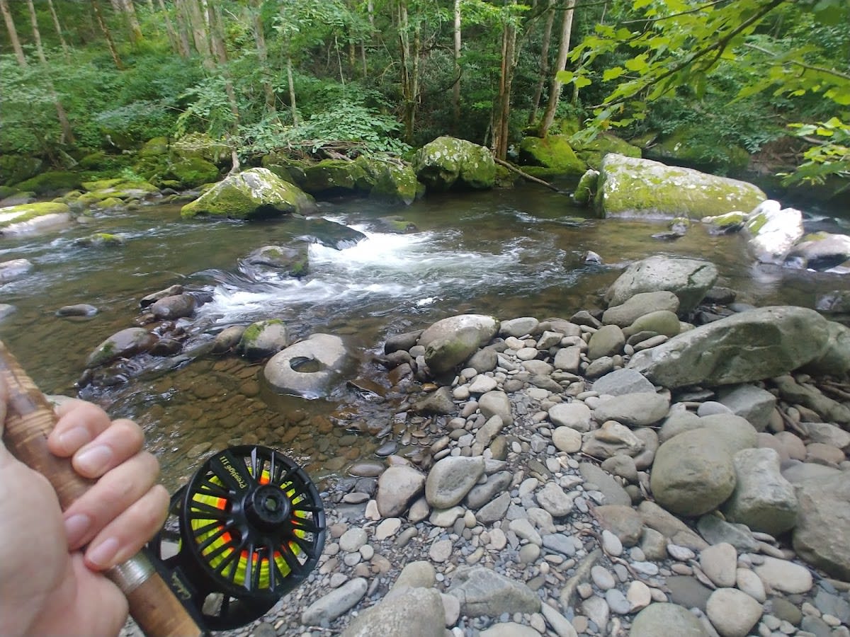 Little River (Fishing)