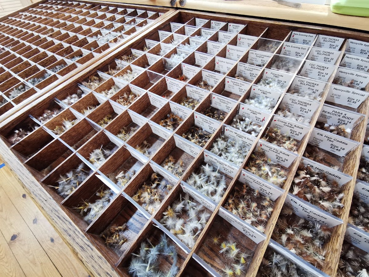 Little River (Fishing)