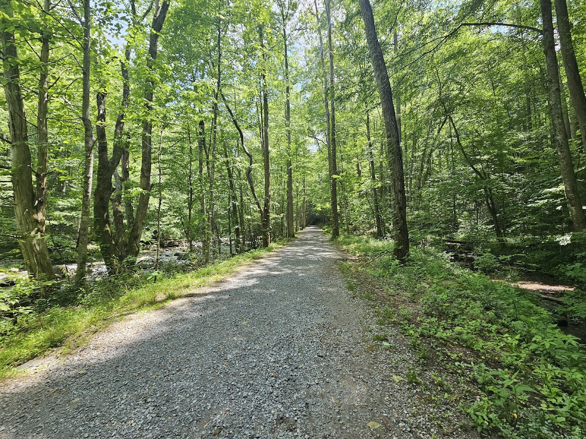 Little River Trail