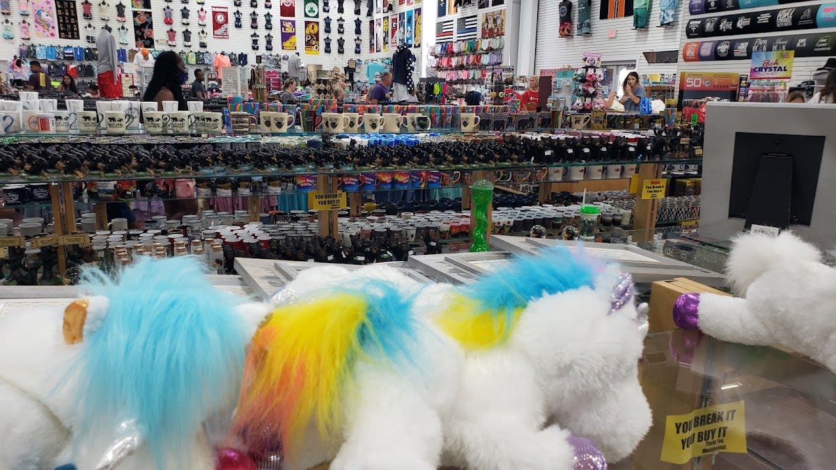 Live Alligators Souvenir Store