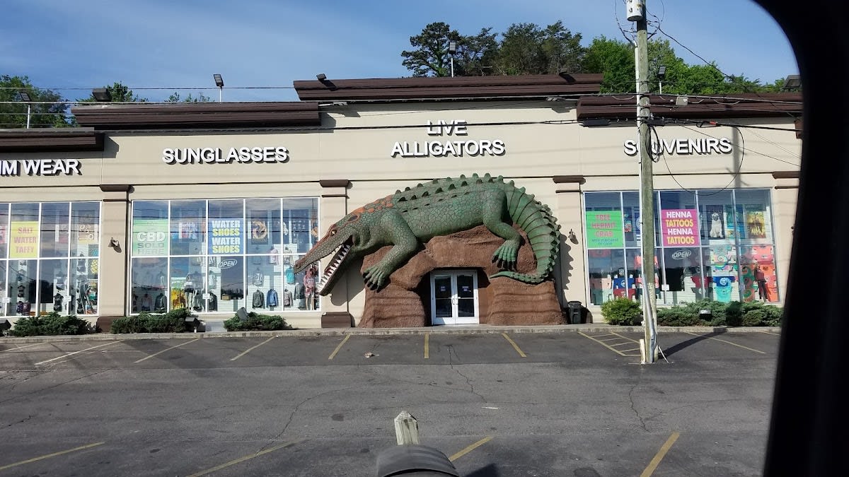Live Alligators Souvenir Store