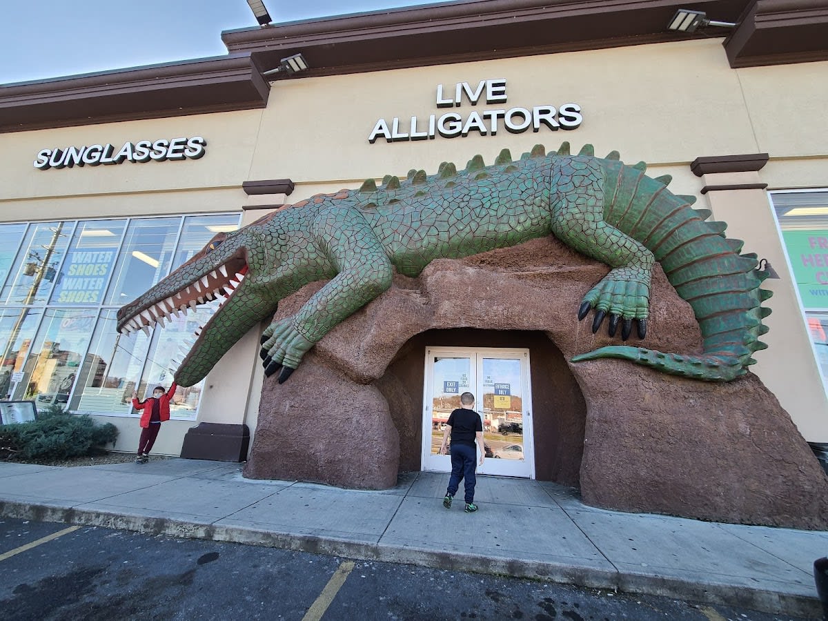 Live Alligators Souvenir Store