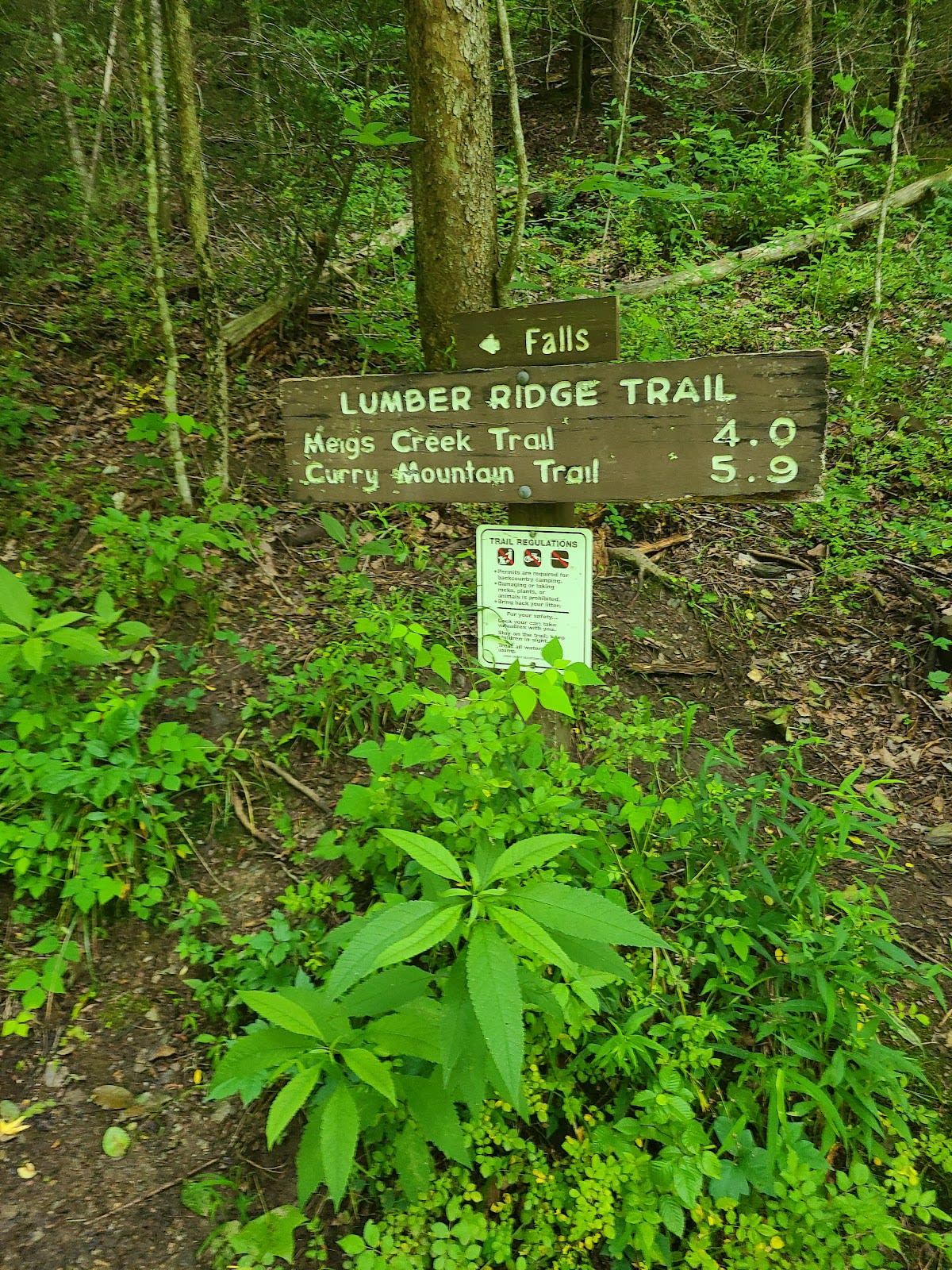 Lumber Ridge Trail