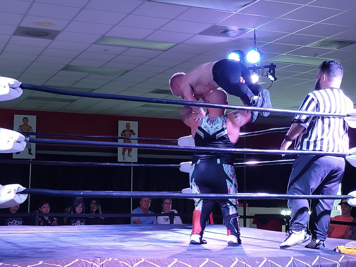 Micro Wrestling Federation