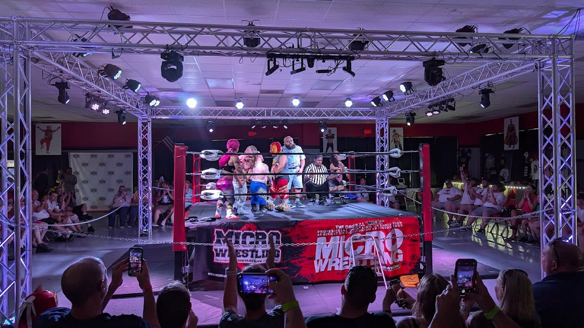 Micro Wrestling Federation