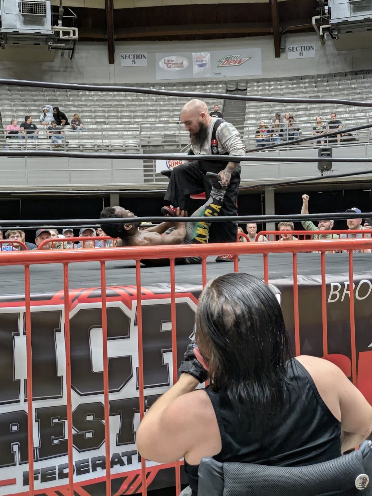 Micro Wrestling Federation