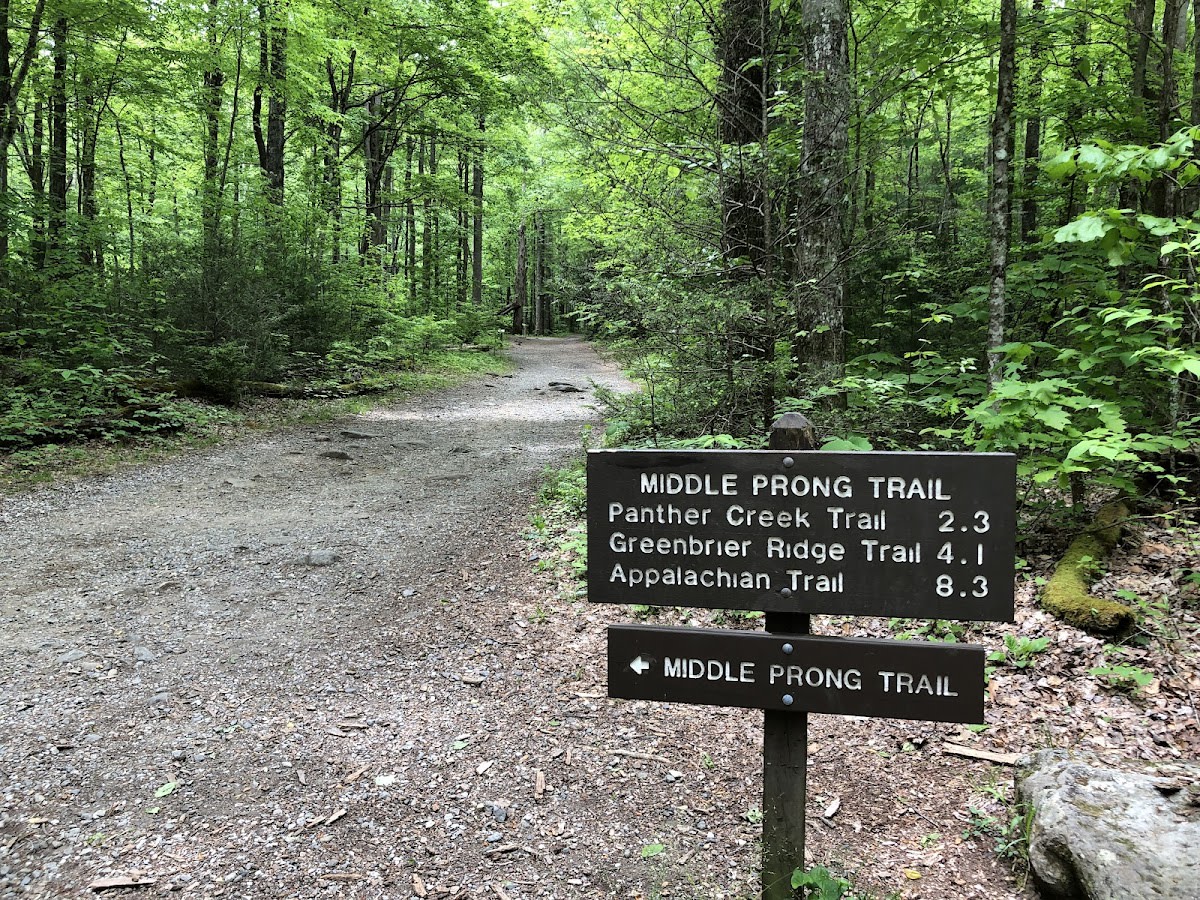 Middle Prong Trail