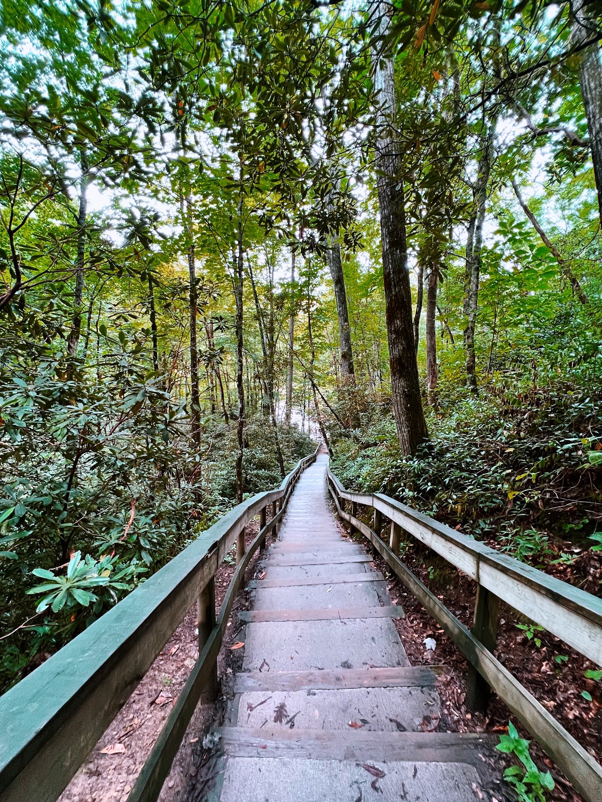 Mingo Falls - 120 Feet Tall!